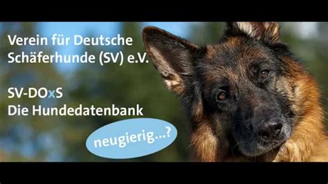 SV DOxS Prüfungspaket .